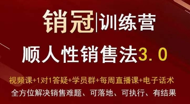 爆款!销冠训练营3.0之顺人性销售法,全方位解决销售难题、可落地、可执行、有结果-赚金金-技能学习分享