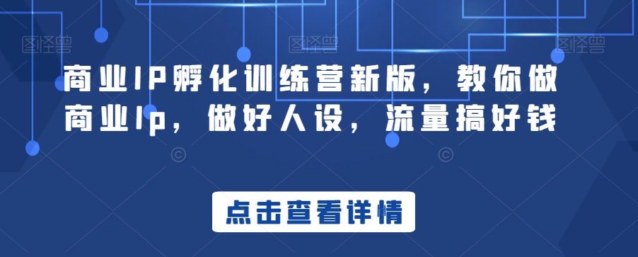 商业IP孵化训练营新版，教你做商业Ip，做好人设，流量搞好钱-赚金金-技能学习分享