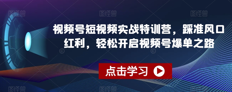 视频号短视频实战特训营，踩准风口红利，轻松开启视频号爆单之路-赚金金-技能学习分享