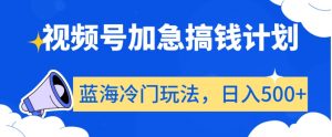 视频号加急搞钱计划,蓝海冷门玩法,日入500+【揭秘】-赚金金-技能学习分享