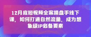 12月底短视频全案操盘手线下课,如何打通自然流量,成为想象级IP必备要素-赚金金-技能学习分享