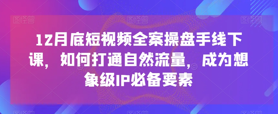 12月底短视频全案操盘手线下课,如何打通自然流量,成为想象级IP必备要素-赚金金-技能学习分享