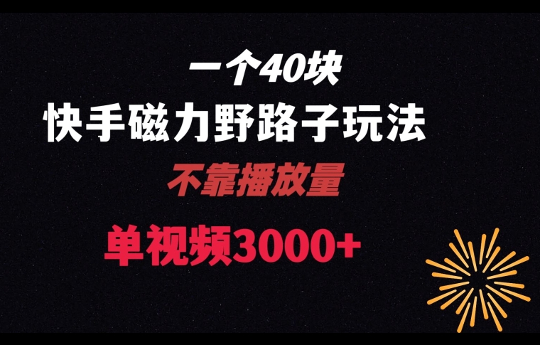一个40块,快手联合美团磁力新玩法,无视机制野路子玩法,单视频收益4位数【揭秘】-赚金金-技能学习分享