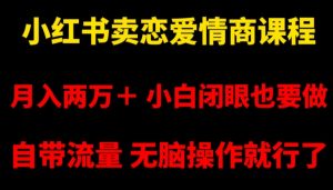 小红书卖恋爱情商课程,月入两万+,小白闭眼也要做,自带流量,无脑操作就行了【揭秘】-赚金金-技能学习分享