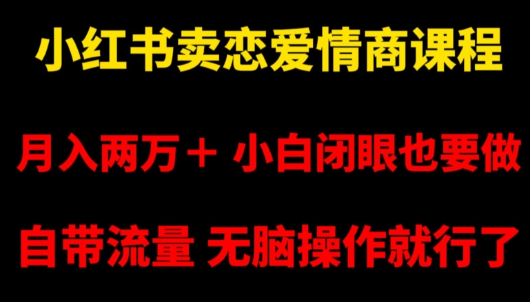 小红书卖恋爱情商课程，月入两万＋，小白闭眼也要做，自带流量，无脑操作就行了【揭秘】-赚金金-技能学习分享