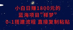 小白能日赚1800元的蓝海项目”释梦”0-1搭建流程可直接复制粘贴长期做【揭秘】-赚金金-技能学习分享