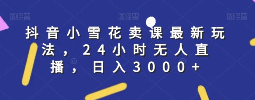 抖音小雪花卖课最新玩法，24小时无人直播，日入3000+【揭秘】-赚金金-技能学习分享