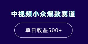 中视频小众爆款赛道，7天涨粉5万+，小白也能无脑操作，轻松月入上万【揭秘】-赚金金-技能学习分享