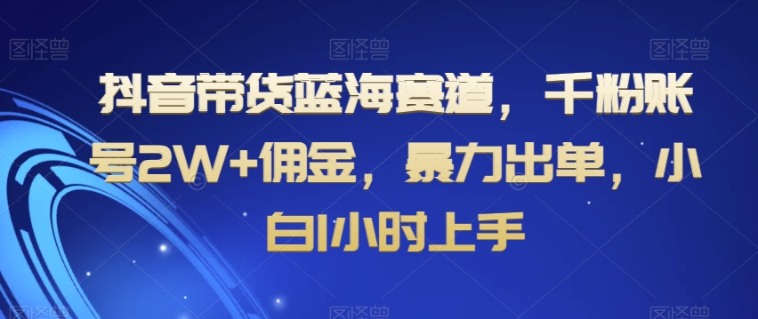 抖音带货蓝海赛道，千粉账号2W+佣金，暴力出单，小白1小时上手【揭秘】-赚金金-技能学习分享