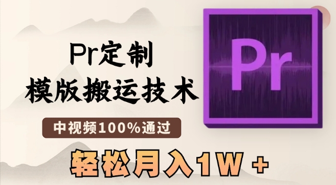 最新Pr定制模版搬运技术，中视频100%通过，几分钟一条视频，轻松月入1W＋【揭秘】-赚金金-技能学习分享