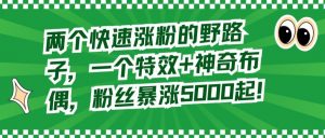 两个快速涨粉的野路子,一个特效+神奇布偶,粉丝暴涨5000起【揭秘】-赚金金-技能学习分享