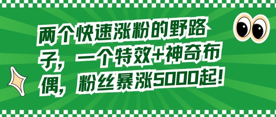 两个快速涨粉的野路子,一个特效+神奇布偶,粉丝暴涨5000起【揭秘】-赚金金-技能学习分享