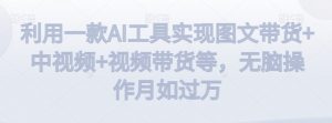 利用一款AI工具实现图文带货+中视频+视频带货等，无脑操作月如过万【揭秘】-赚金金-技能学习分享