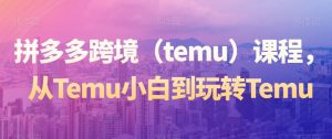 拼多多跨境（temu）课程，从Temu小白到玩转Temu-赚金金-技能学习分享