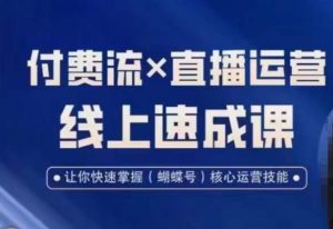 视频号付费流实操课程,付费流✖️直播运营速成课,让你快速掌握视频号核心运营技能-赚金金-技能学习分享