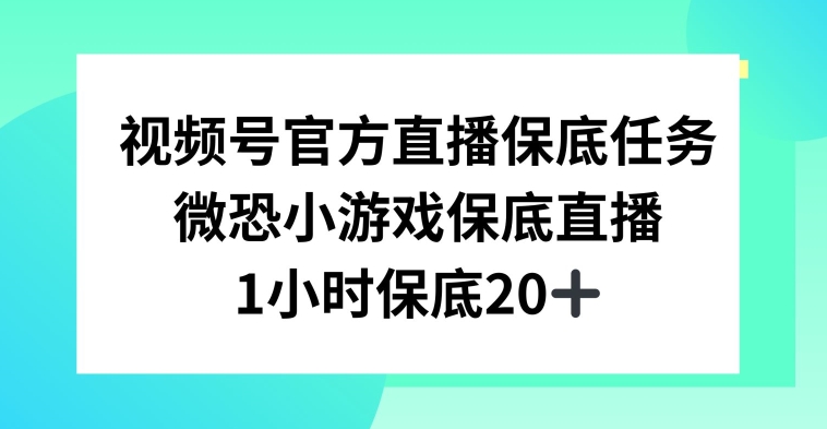 视频号直播任务，微恐小游戏，1小时20+【揭秘】-赚金金-技能学习分享