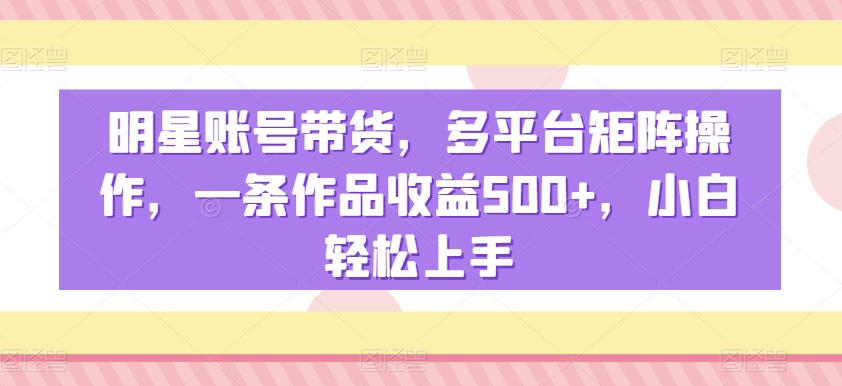 明星账号带货，多平台矩阵操作，一条作品收益500+，小白轻松上手【揭秘】-赚金金-技能学习分享