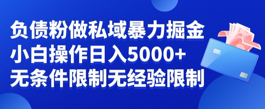 负债粉私域暴力掘金，小白操作入5000，无经验限制，无条件限制【揭秘】-赚金金-技能学习分享