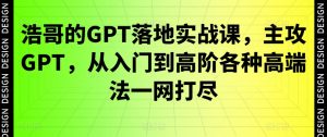 浩哥的GPT落地实战课，主攻GPT，从入门到高阶各种高端法一网打尽-赚金金-技能学习分享