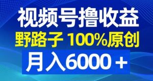 视频号野路子撸收益,100%原创,条条爆款,月入6000+【揭秘】-赚金金-技能学习分享