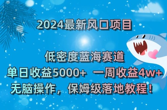 2024最新风口项目，低密度蓝海赛道，单日收益5000+，一周收益4w+！【揭秘】-赚金金-技能学习分享