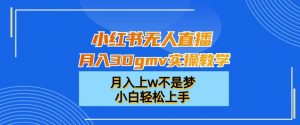 小红书无人直播月入30gmv实操教学，月入上w不是梦，小白轻松上手【揭秘】-赚金金-技能学习分享