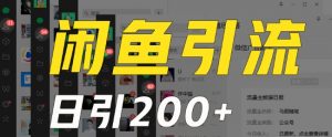 外面收费6980闲鱼引流法,日引200+创业粉,每天稳定2000+收益,保姆级教程(适合居家创业)-赚金金-技能学习分享