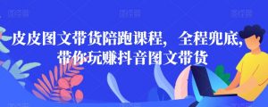 皮皮图文带货陪跑课程,全程兜底,带你玩赚抖音图文带货-赚金金-技能学习分享