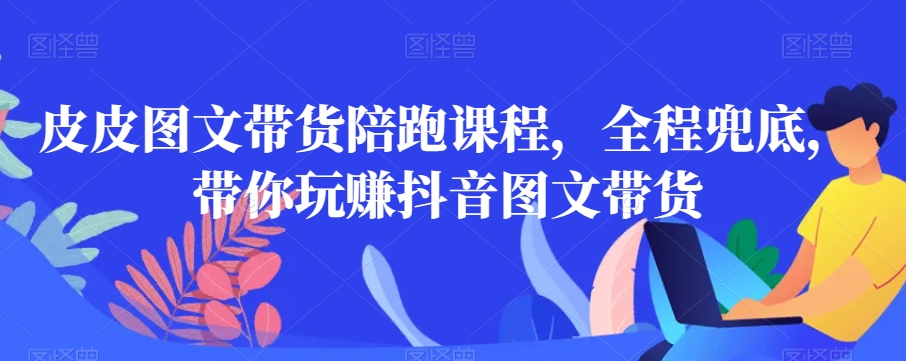 皮皮图文带货陪跑课程,全程兜底,带你玩赚抖音图文带货-赚金金-技能学习分享