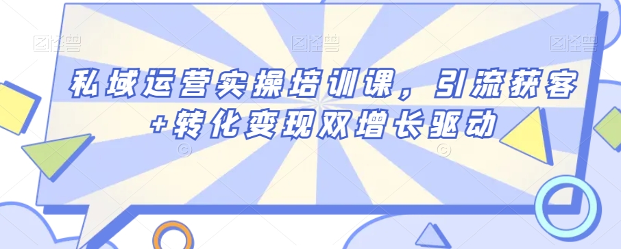 私域运营实操培训课，引流获客+转化变现双增长驱动-赚金金-技能学习分享