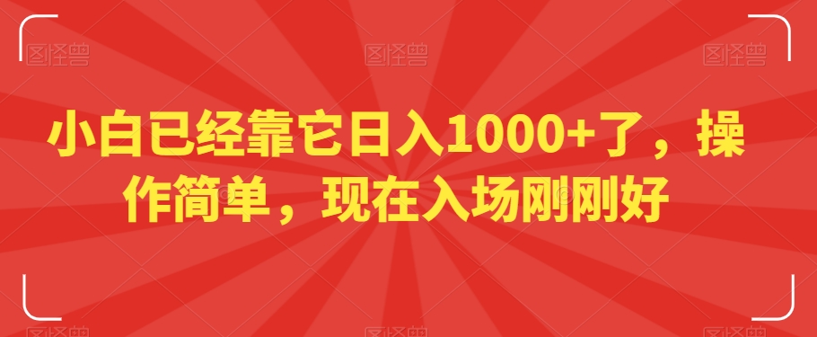 小白已经靠它日入1000+了，操作简单，现在入场刚刚好【揭秘】-赚金金-技能学习分享