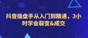 抖音操盘手从入门到精通,3小时学会裂变&成交-赚金金-技能学习分享