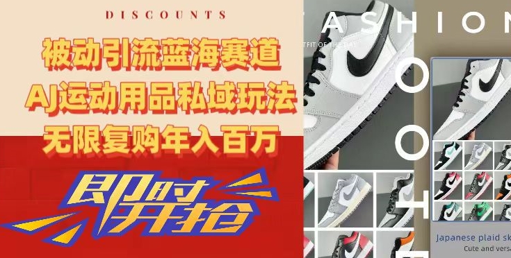 被动引流蓝海赛道，AJ运动用品私域玩法，无限复购年入百万【揭秘】-赚金金-技能学习分享