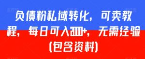 负债粉私域转化,可卖教程,每日可入2000+,无需经验(包含资料)【揭秘】-赚金金-技能学习分享
