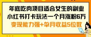 年底吃肉项目适合女生的副业小红书打卡玩法一个月涨粉6万+变现能力强+单月收益5位数【揭秘】-赚金金-技能学习分享