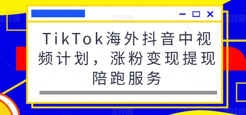 TikTok海外抖音中视频计划，涨粉变现提现陪跑服务-赚金金-技能学习分享