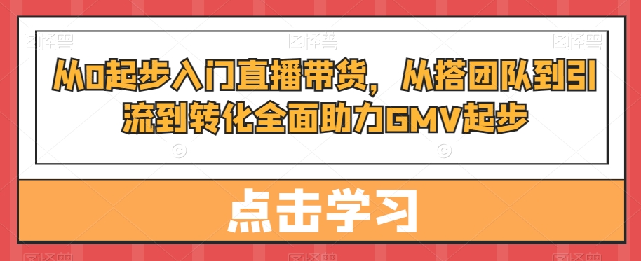 从0起步入门直播带货，​从搭团队到引流到转化全面助力GMV起步-赚金金-技能学习分享
