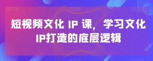 短视频文化IP课，学习文化IP打造的底层逻辑-赚金金-技能学习分享