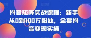 抖音矩阵实战课程:新手从0到100万粉丝,全套抖音变现实操-赚金金-技能学习分享