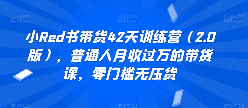 小Red书带货42天训练营（2.0版），普通人月收过万的带货课，零门槛无压货-赚金金-技能学习分享