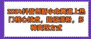 2024抖音创新小众赛道上热门核心技术,超级涨粉,多种变现方式【揭秘】-赚金金-技能学习分享