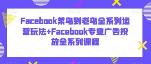 Facebook菜鸟到老鸟全系列运营玩法+Facebook专业广告投放全系列课程-赚金金-技能学习分享