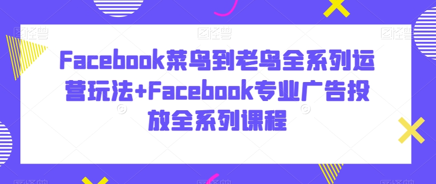 Facebook菜鸟到老鸟全系列运营玩法+Facebook专业广告投放全系列课程-赚金金-技能学习分享
