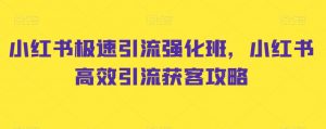 小红书极速引流强化班,小红书高效引流获客攻略-赚金金-技能学习分享