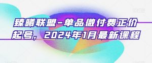 臻曦联盟-单品微付费正价起号，2024年1月最新课程-赚金金-技能学习分享