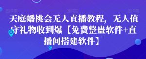 天庭蟠桃会无人直播教程,无人值守礼物收到爆【免费整蛊软件+直播间搭建软件】-赚金金-技能学习分享