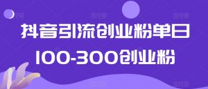抖音引流创业粉单日100-300创业粉【揭秘】-赚金金-技能学习分享