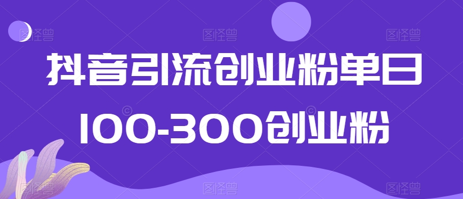 抖音引流创业粉单日100-300创业粉【揭秘】-赚金金-技能学习分享