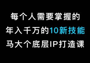 马大个的IP底层逻辑课,每个人需要掌握的年入千万的10新技能,约会底层IP打造方法!-赚金金-技能学习分享