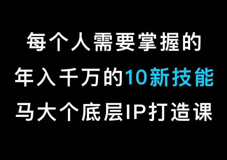 马大个的IP底层逻辑课,每个人需要掌握的年入千万的10新技能,约会底层IP打造方法!-赚金金-技能学习分享